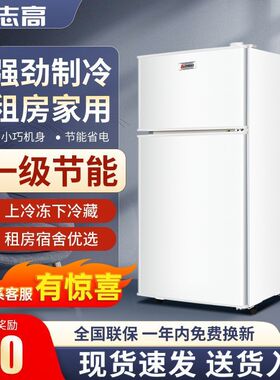 志高冰箱小型双门出租房