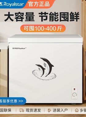 小冰柜家用节能省电冷冻