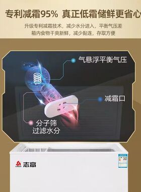 商用冷柜大容量双门冰柜