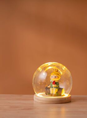 玻璃球罩带灯防尘罩展示