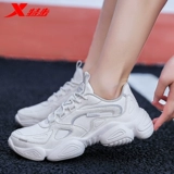 Xtep, повседневная обувь, универсальная спортивная обувь, коллекция 2023, осенняя