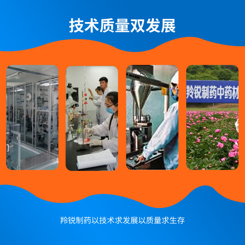 羚锐8袋肌肉关节疼痛伤湿止痛膏 羚锐风湿骨外伤