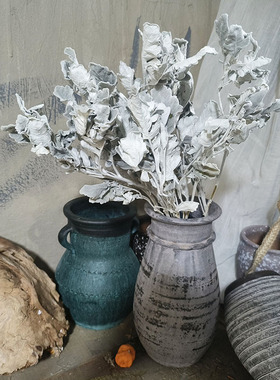 天然植物银叶菊干花花束真花家居创意造型店铺陈列茶社软装饰diy