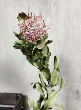 天然干花花束黄金佛塔针垫