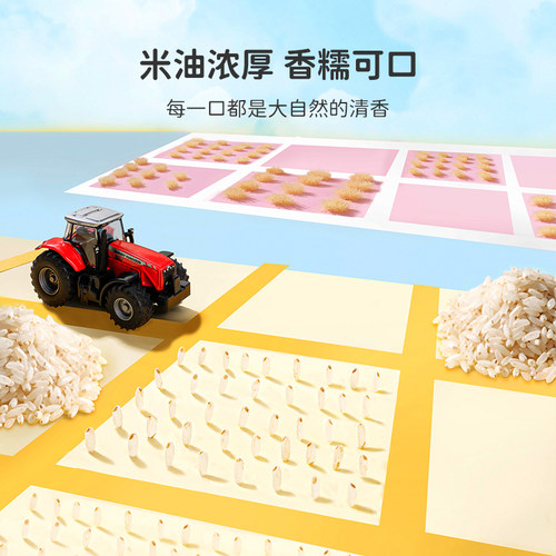 littleone萌小丸有机胚芽米谷物营养大米粥500g - 图2