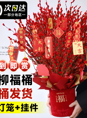 【2025飘香福桶】银柳真花鲜枝