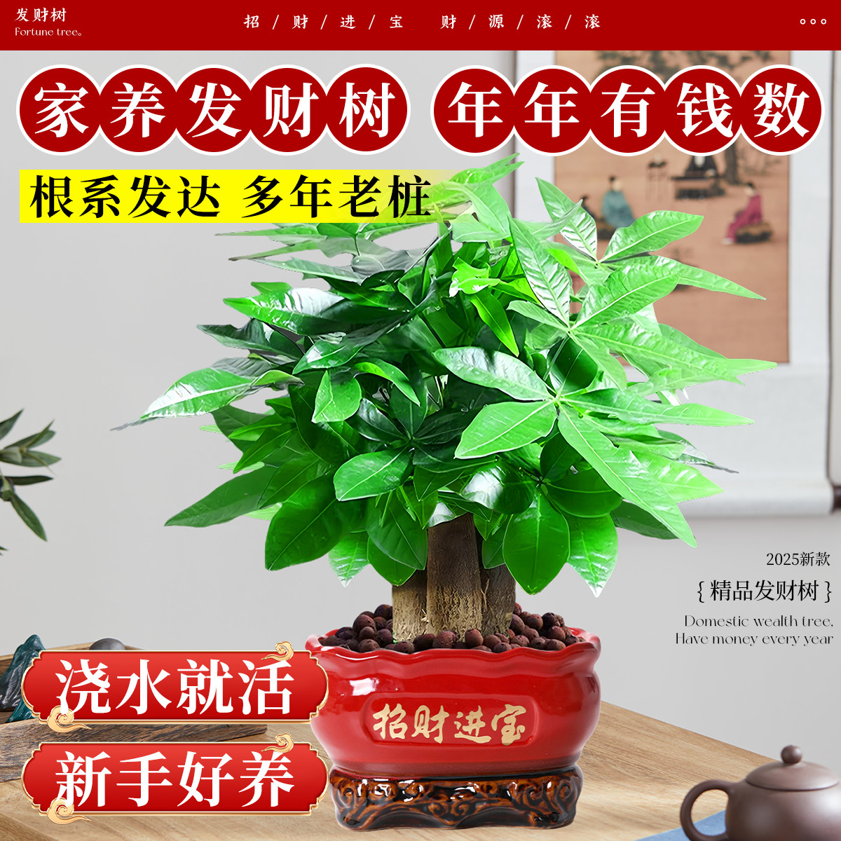 发财树客厅大盆栽室内绿植物四季好养开业送礼招财旺宅办公室摆件,淘宝优惠券,粉丝福利购,淘宝优惠卷