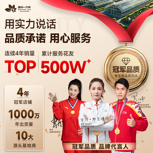 特大号红掌盆栽带花大叶大花客厅绿植室内好养植物办公室桌面花卉 - 图3