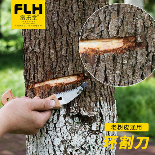 环割刀果树柑橘枣葡萄树老树皮剥皮刀开甲刀环割放水荔枝环剥器剪 - 图2