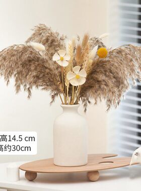 【家用优选】天然风干植