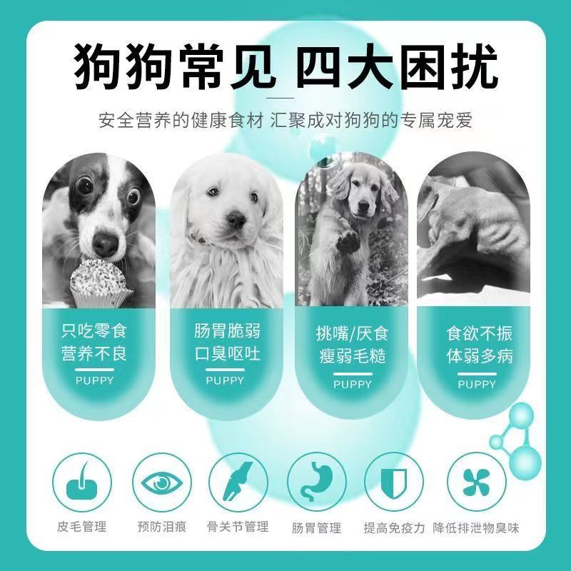 菲爱一生全犬期通用狗粮5斤袋装小型犬幼犬成犬补充营养泰迪专用 - 图3