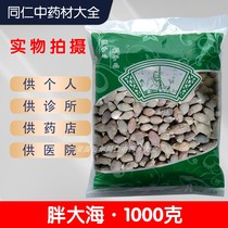 An Anguo Chinese herbal medicine market batch of sulphur-free new goods fat sea special class sea bubble water