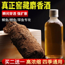 Pure High Concentration Musk Liquid Chinese Medicinal Liquor Small Drug Crucian Carp Wild Fishing Black Pit Bait Special Fish Bait Bait Additive