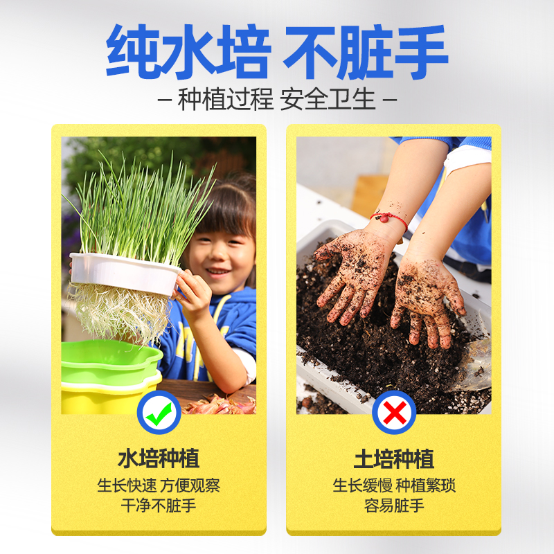 儿童种植小盆栽幼儿园学生观察水培diy 农场创意迷你植物观察生长 - 图0