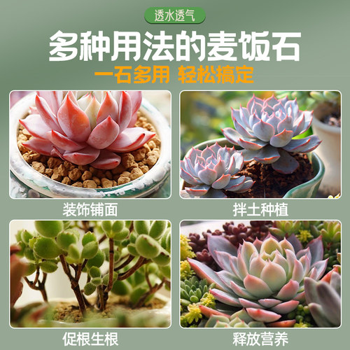 黄金麦饭石颗粒土多肉铺面石专用种植拌土营养泥炭养花盆栽通用 - 图3