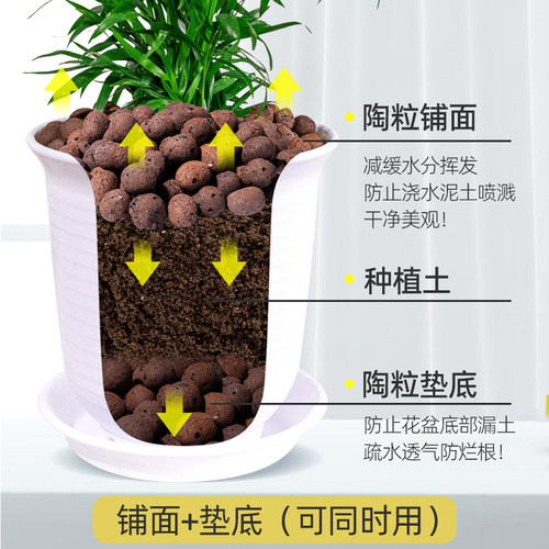 陶粒垫底陶粒养花专用花盆养花种花用的彩色回填颗粒土多肉营养土 - 图3