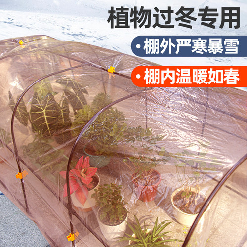 花棚暖房遮雨多肉花卉蔬菜保温棚家用花房暖棚防冻保暖挡雨遮阳棚 - 图1