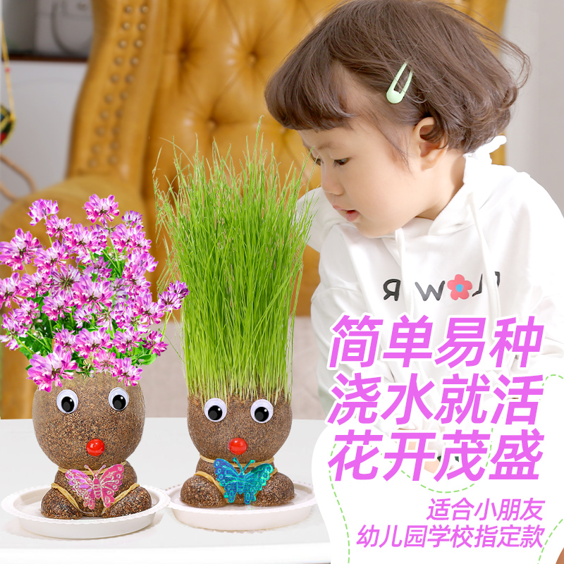 草头娃娃头上长草创意小盆栽儿童幼儿园好养观察植物生长网红花卉 - 图1
