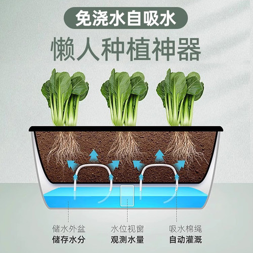 种菜神器花盆栽蔬菜种植箱家庭阳台塑料自吸水懒人长方形专用箱大 - 图1