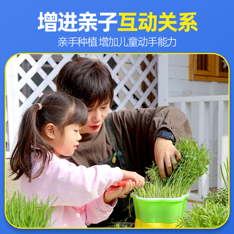 儿童种植小盆栽幼儿园学生观察水培diy 农场创意迷你植物观察生长 - 图2