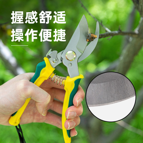 园艺剪刀园林强力果树摘果花艺剪刀修枝剪花粗枝神器树枝家用剪子 - 图1
