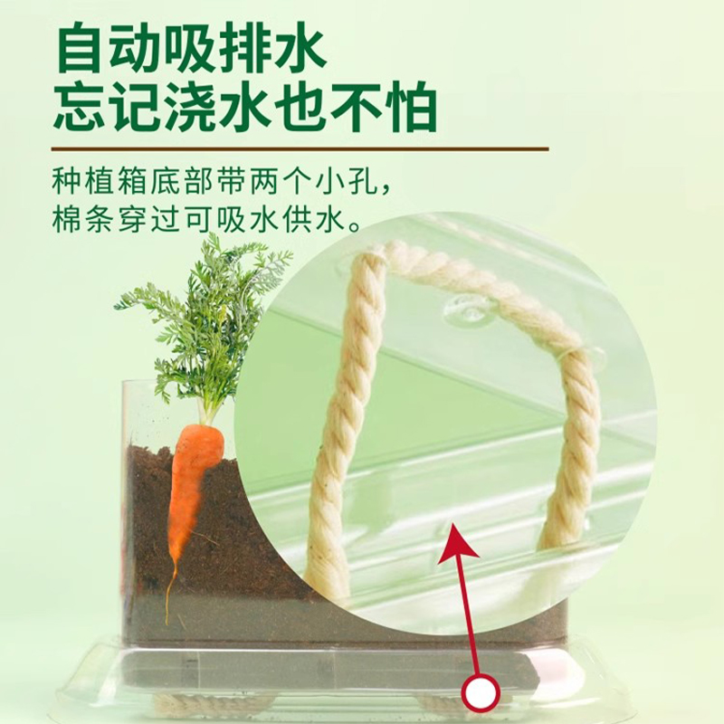 儿童种植小盆栽小农场发芽小植物小花农迷你小农场根系生长观察窗 - 图1