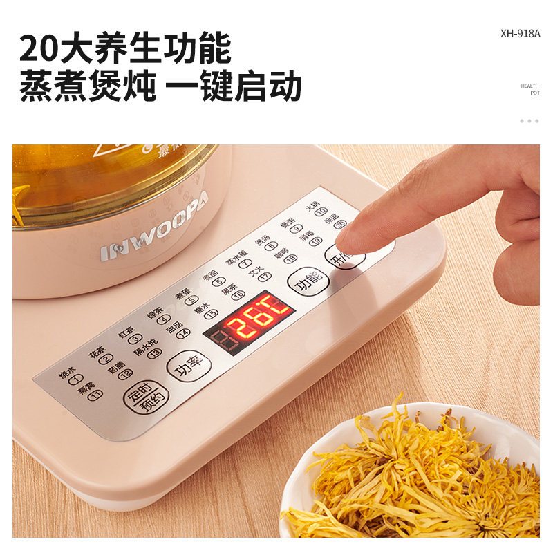 鑫虎家用多功能全自动煮茶器养生壶 鑫虎养生壶/煎药壶