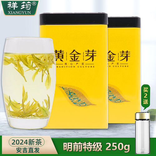 安吉白茶黄金芽茶叶2025新茶正宗特级250g高山绿茶散装春茶送礼 - 图1