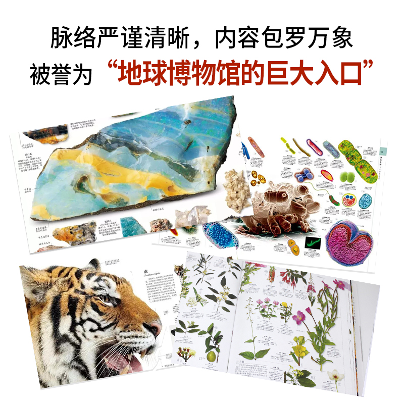 DK博物大百科点读版官网旗舰正版 dk大百科全书中文 自然界的视觉盛宴儿童百科 人类生命起源动物恐书百科 小考拉小达人点读绘本书