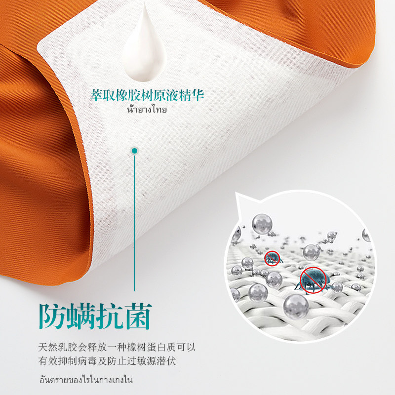 泰国天然乳胶无痕高腰 娇蕊诗内裤