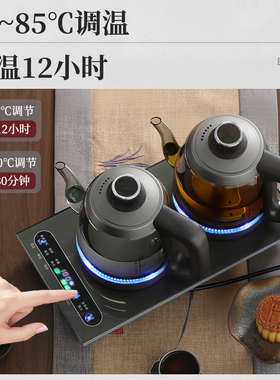 纯钛烟灰玻璃全自动双上水烧水壶