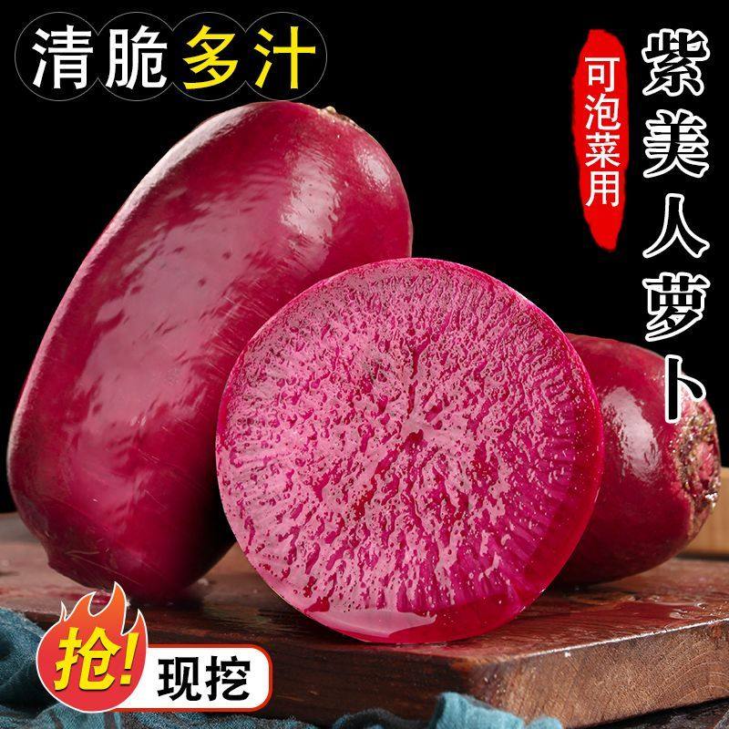 正宗天津小沙窝水果凤梨紫美人萝卜生吃脆甜多汁新鲜蔬菜现拔包邮,淘宝优惠券,粉丝福利购,淘宝优惠卷