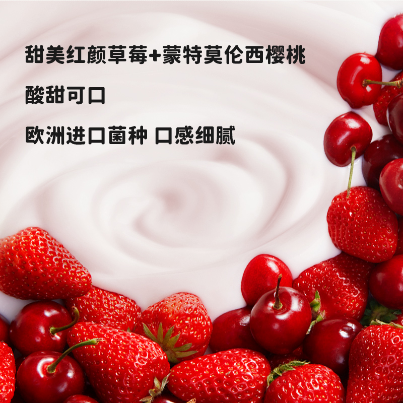 北海牧场低温酸奶牛奶小果泥酸奶2口味可选|风味发酵乳组合装12杯