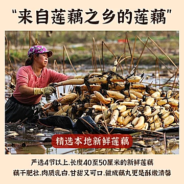 清多多手工炸藕丸258g湖北赤壁特产酥炸藕圆[15元优惠券]-寻折猪