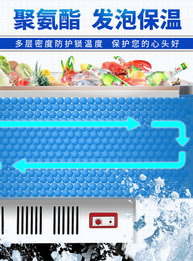 【广东次日达】中雪岛式冷冻岛柜