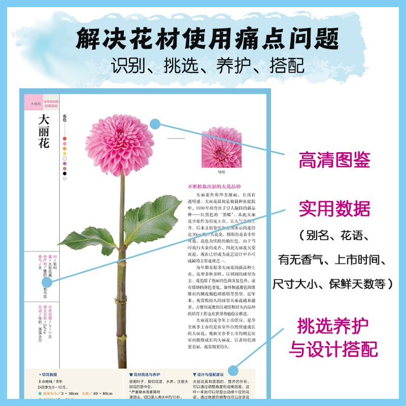 花艺设计花材使用手册 - 图2