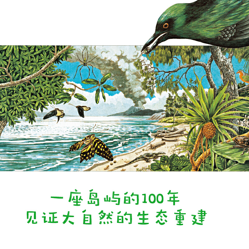 【当当网正版书籍】一座岛屿的100年 - 图0