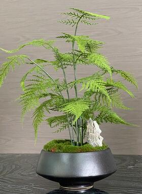 模拟绿色植物盆景新型中国风花卉模型房客厅售楼处入口植物芦笋盆