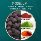 Кой золотая рыбная ферма, наблюдая