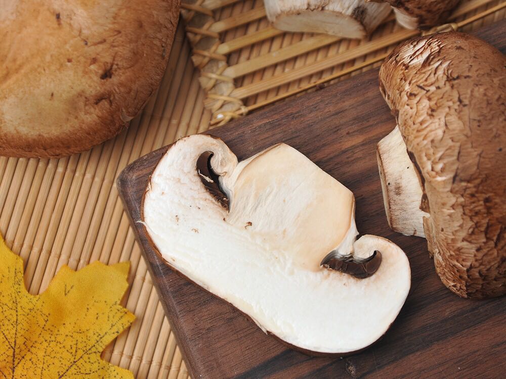 波多黎各菌 Large Portobello Mushroom 2~3pcs（270~345g）VGBB-图2