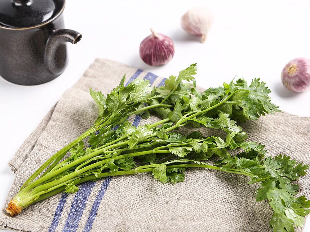 VGBB 香菜 Cilantro Coriander 50g - 图1