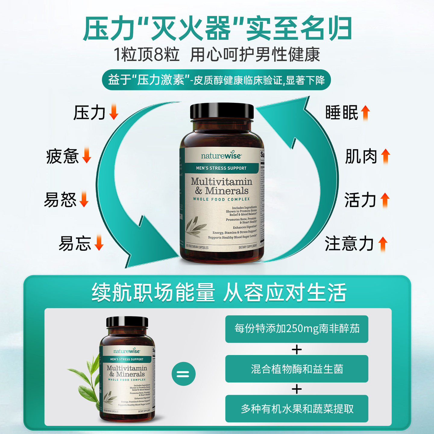 2瓶Naturewise男性超维醉茄复合维生素南非醉茄代谢慢新陈代谢