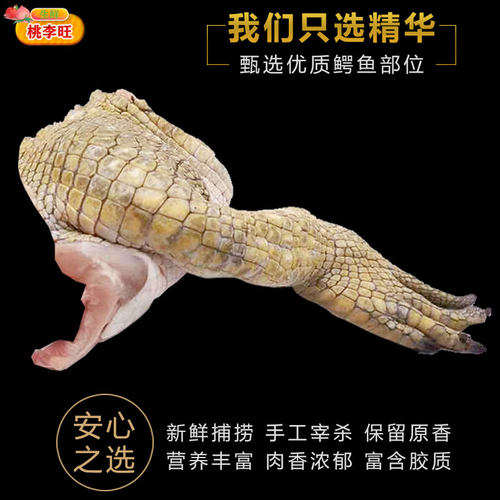 鳄鱼掌肉 鲜活宰杀3斤鳄鱼腿活杀整只暹罗鳄鳄鱼生鲜肉新鲜鳄鱼爪 - 图2