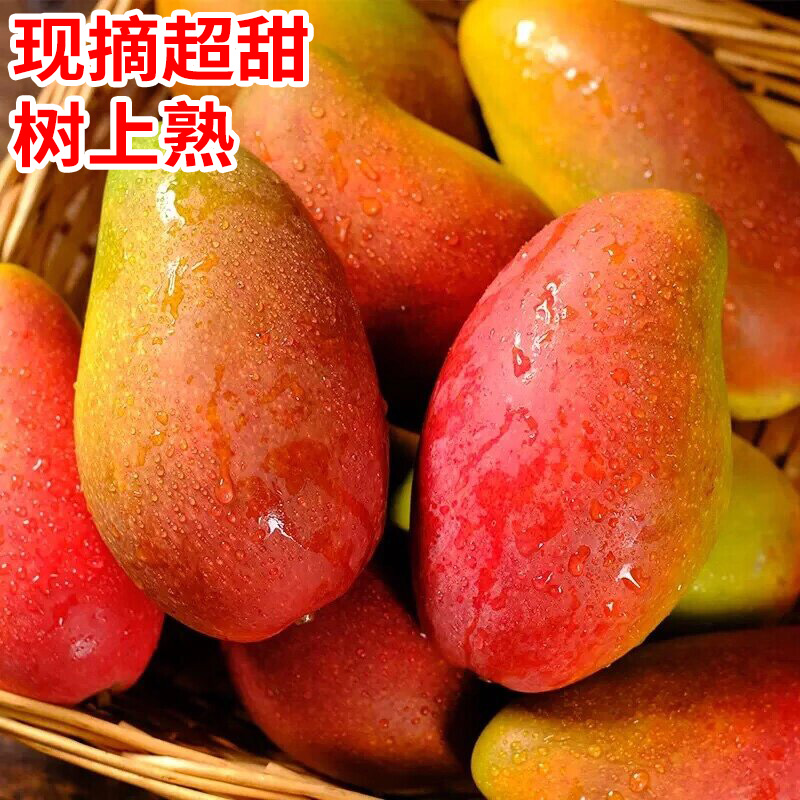 广西贵妃芒果10斤大果当季树上熟新鲜水果金青煌仙甜心台芒整箱3 - 图1