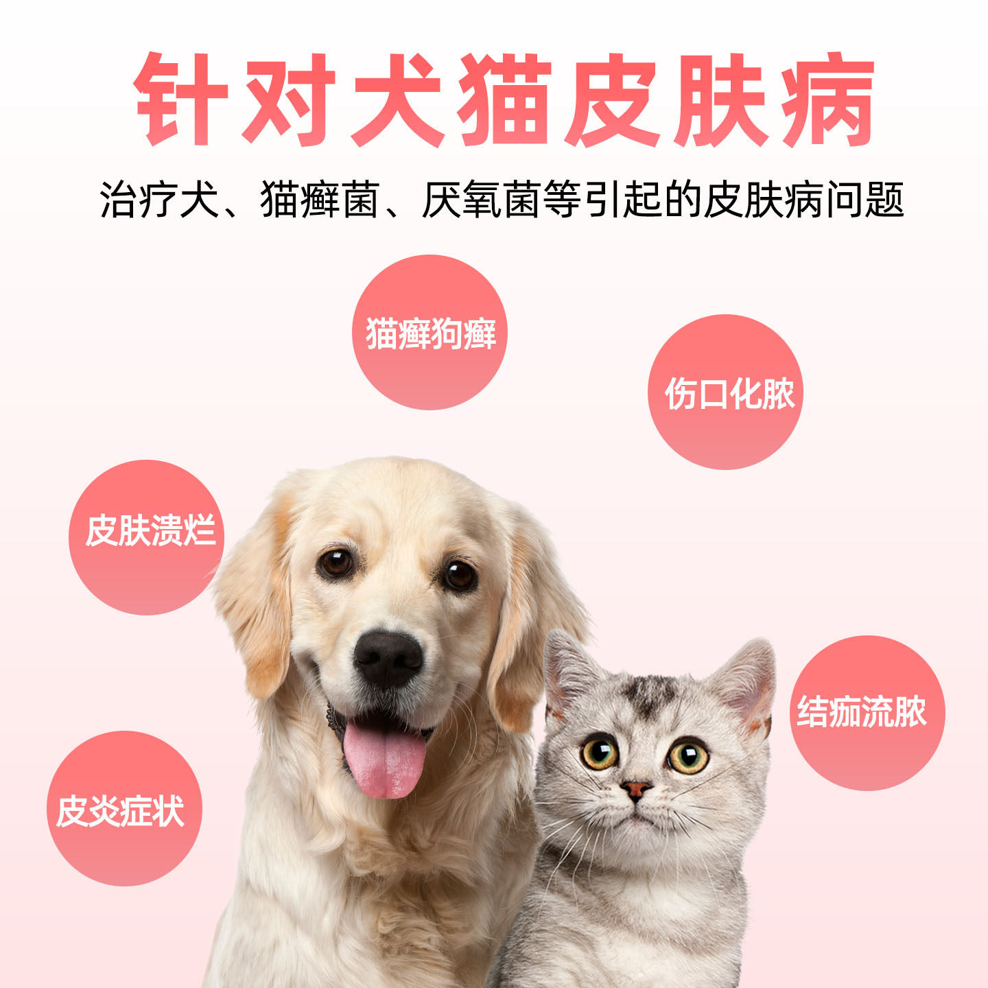 猫藓外用药复方酮康唑软膏真菌犬皮肤病药膏喷剂宠物猫狗癣专用药,淘宝优惠券,粉丝福利购,淘宝优惠卷