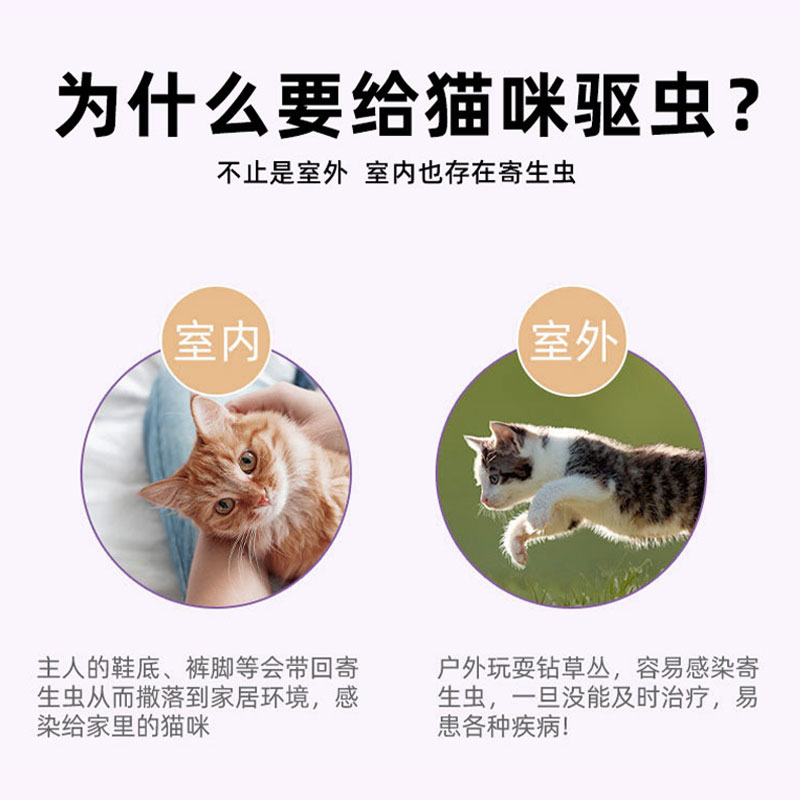 mofei 猫咪驱虫药体外滴剂除跳蚤虱子蜱虫螨虫宠物体内外驱虫猫用 - 图1