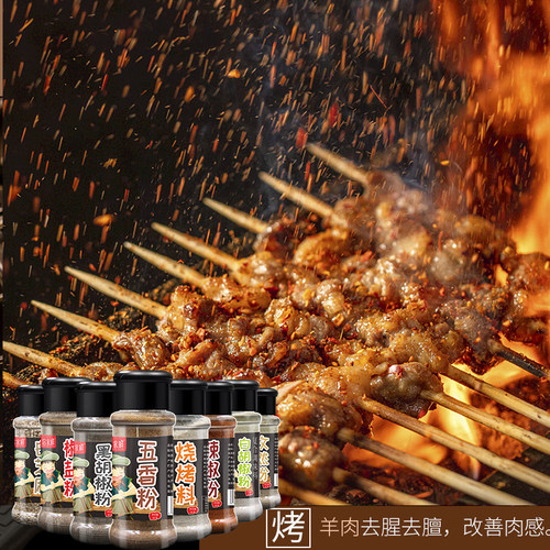烧烤调料组合套装家用户外全套烤肉撒料胡椒辣椒椒盐五香粉孜然粉 - 图3