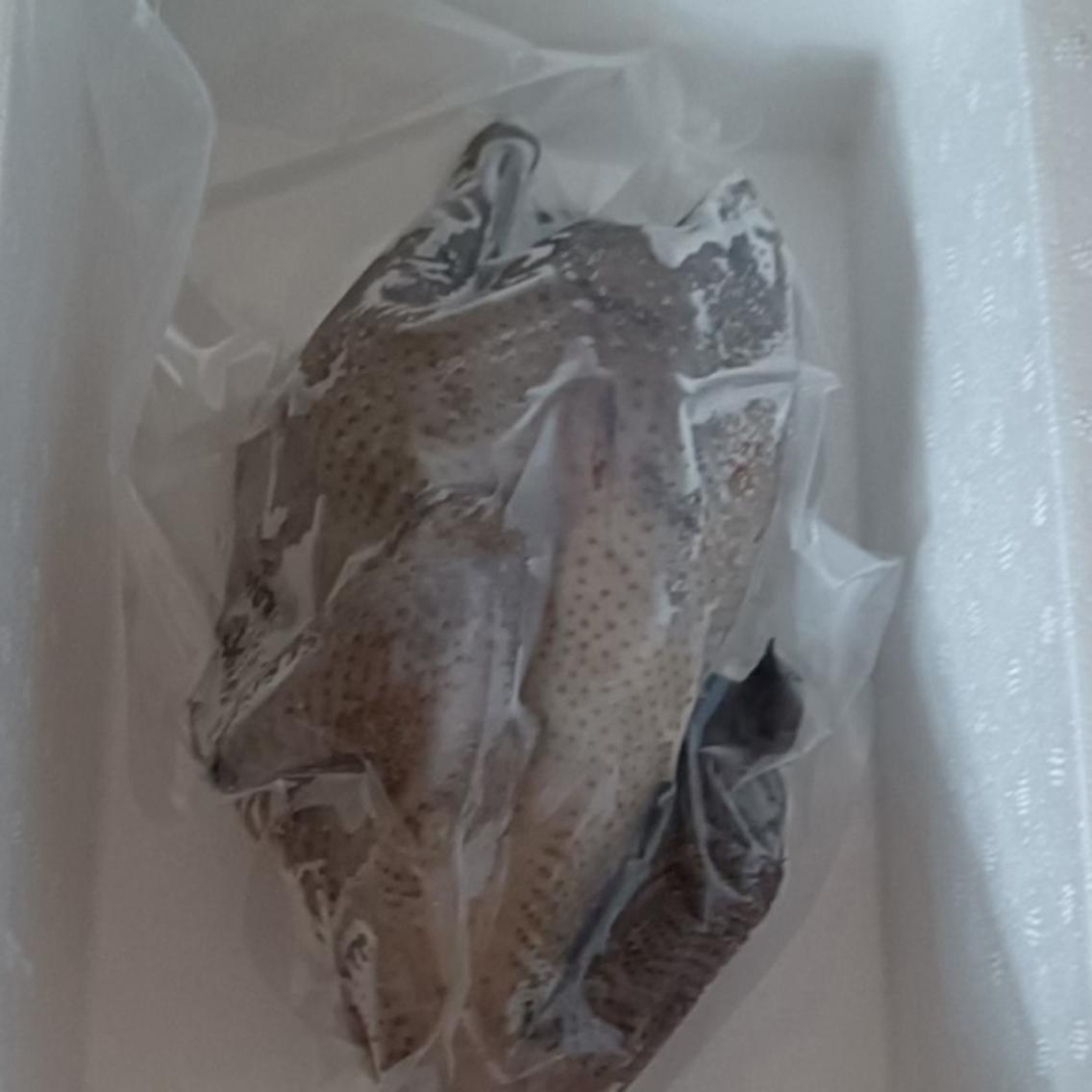 SF Express Yuebei Alpine Fresh Five-Black Old Hen