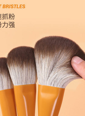 受受狼芸姜系列11化妆套刷
