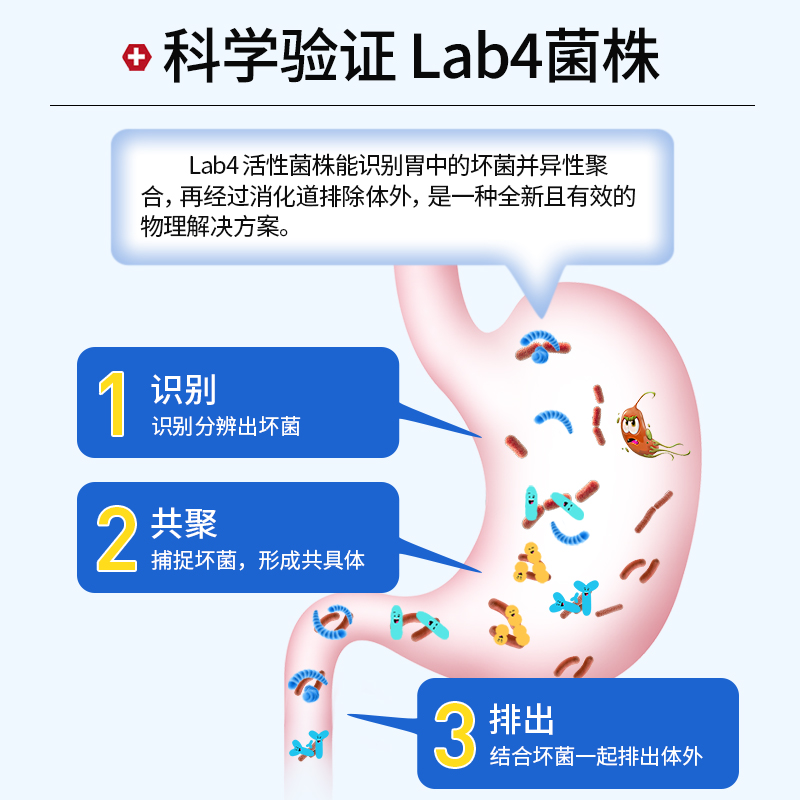 【抢前4h】PROVEN益生菌调理肠胃大人养胃呵护肠胃成人增强免疫 - 图2